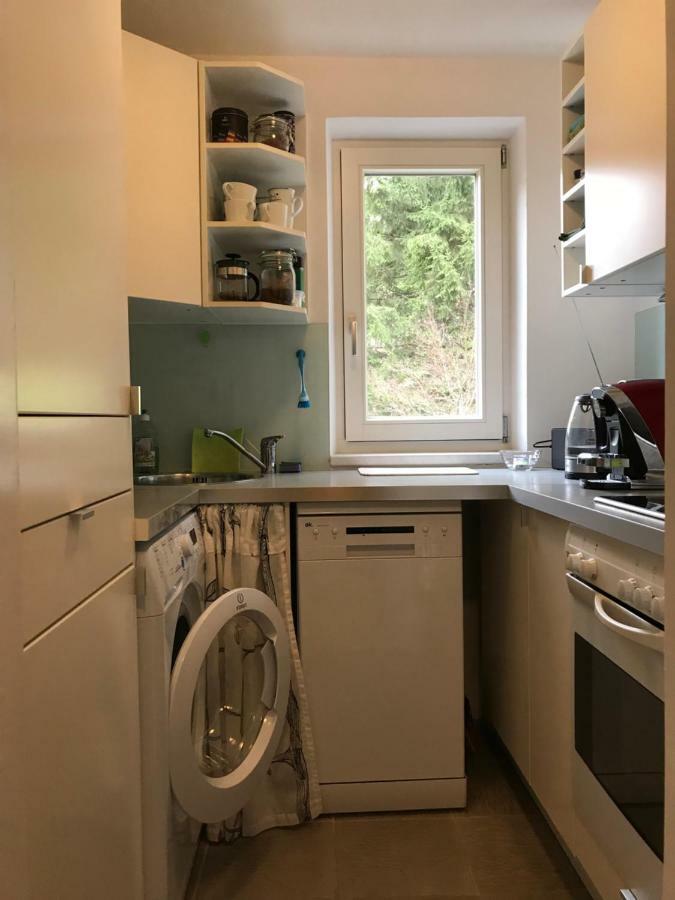 Apartment Gisi İnnsbruck Dış mekan fotoğraf