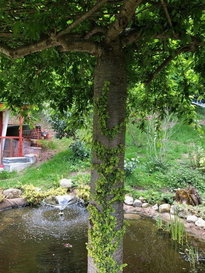 Apartment Gisi İnnsbruck Dış mekan fotoğraf